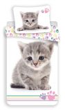 Detské obliečky mačiatko, mačiatko, mačka Kitten colour