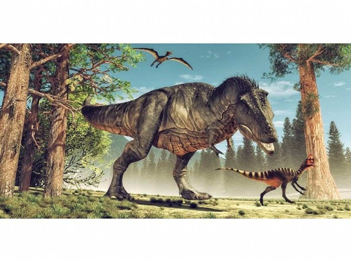 Dinosauria osuška - občerstvenie pre dinosaurov Carbotex